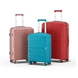 8004 Model PP Luggage