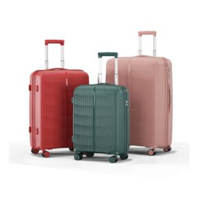 8010 Model PP Luggage