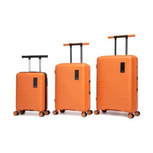 8029 Model PP Luggage